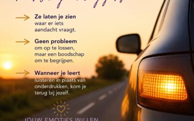 Emoties zijn geen vijanden